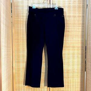 Briggs Black Petite Cropped pants with Tummy control 14P